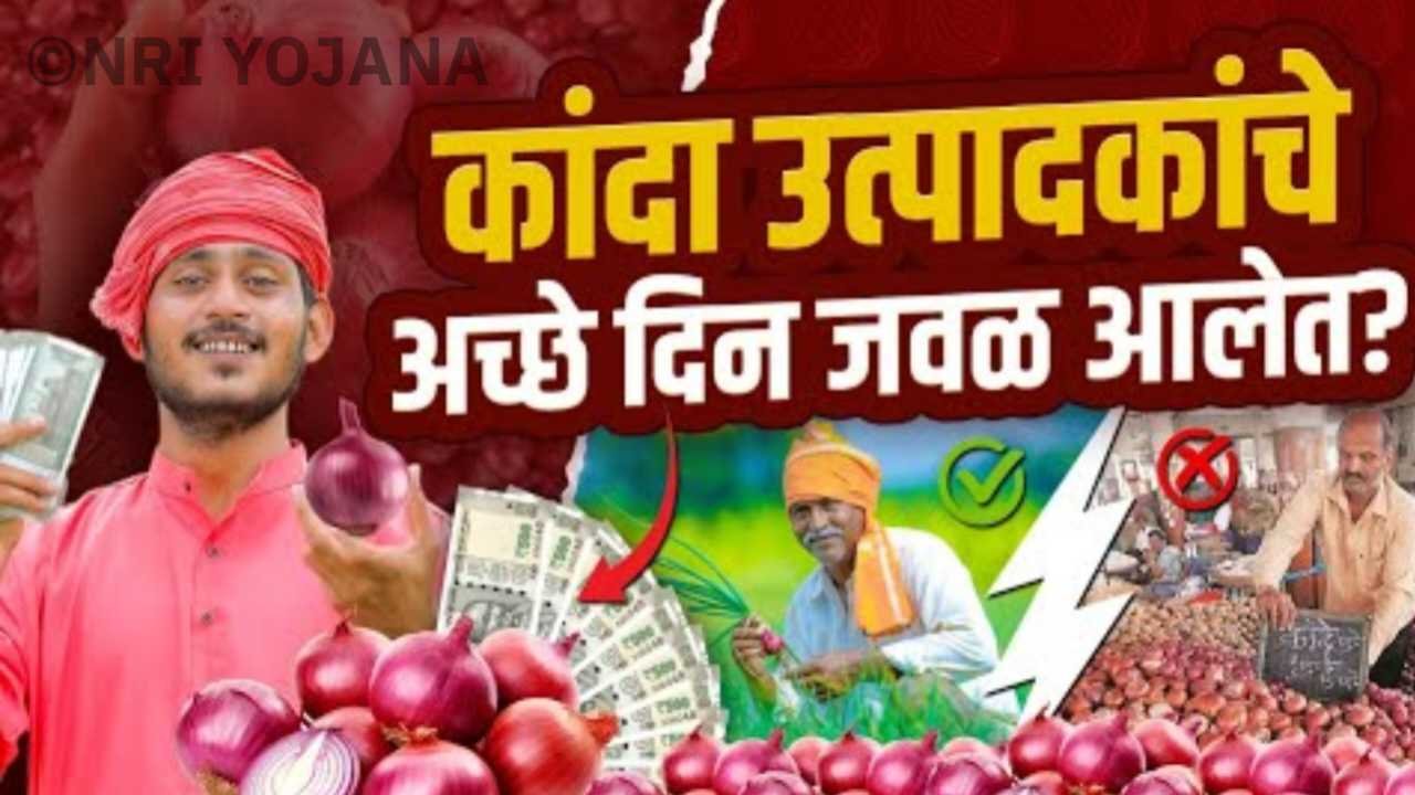 Onion Price News