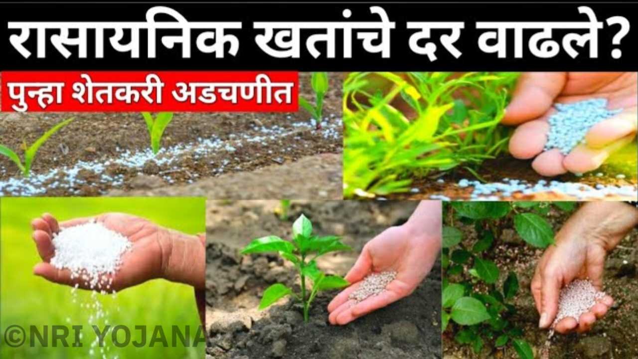 rasayanik khat price