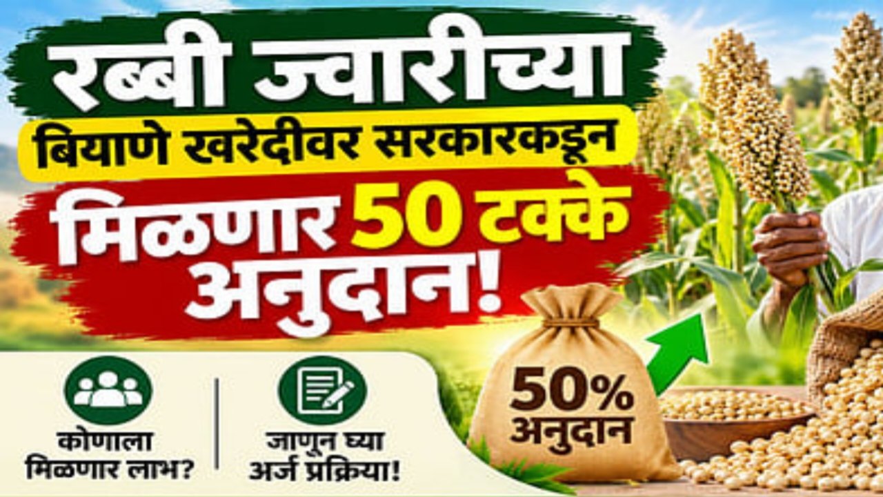 रब्बी ज्वारीच्या बियाण्यांवर मिळणार ५०% ते १००% अनुदान! महाडीबीटीवर अर्ज सुरू; जाणून घ्या नियम, दर आणि सोपी पद्धत